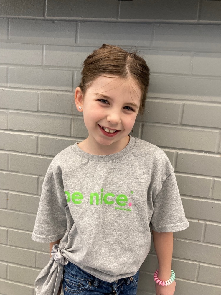 The Be Nice t-shirts are the perfect thing to wear.
